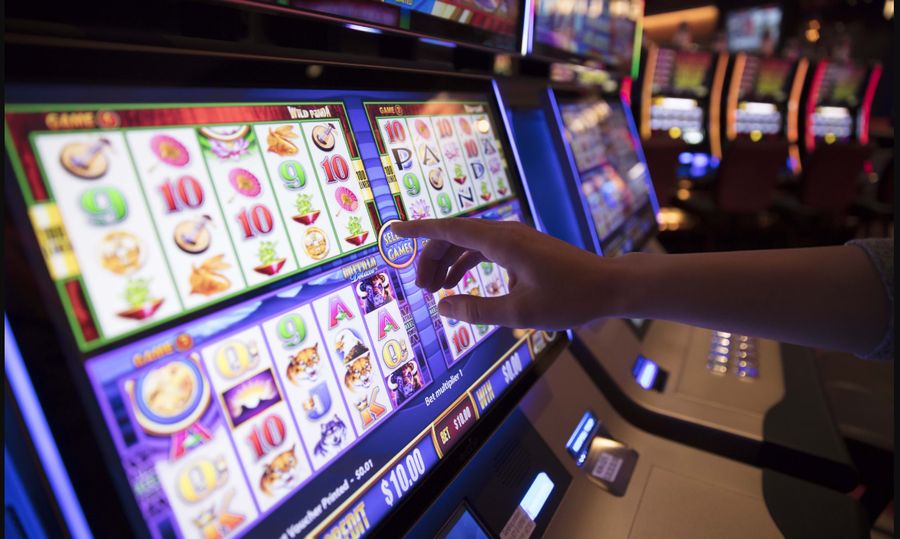 Video Poker AU & NZ – Jacks or Better, Deuces Wild & More